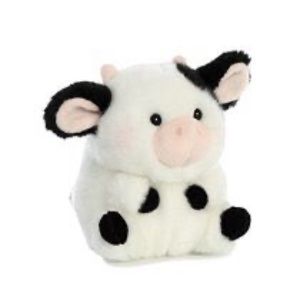 Meet your Posher, Suheyla